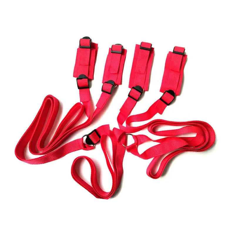 Adjustable Bed Restraints with Flogger Whip