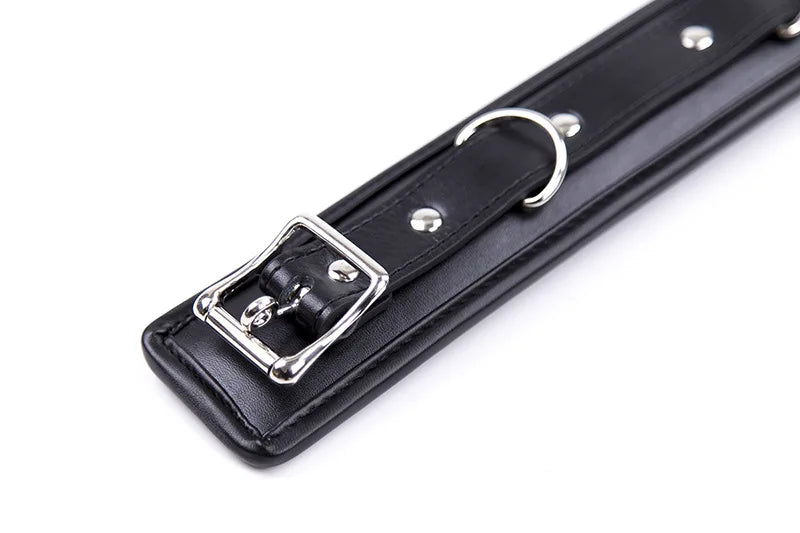 BlackWolf Leather-Trimmed Gentle Sponge Collars With Leash